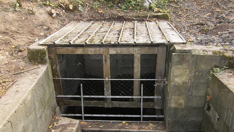 So sah der Brunnen vor der Restaurierung aus.    Foto: privat