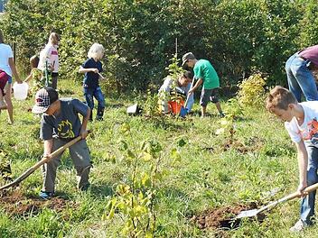 2013 wurde auf dem Gelände der Herzo Base ein Kinderwäldchen gepflanzt.  Foto: Bernhard Panzer (Archiv)