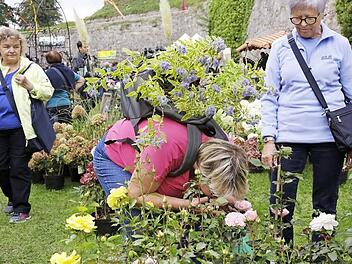 Blumenduft im Herbst? Die Rosenmesse macht es wieder möglich. Foto: Archiv/Matthias Hoch