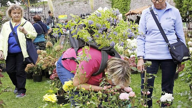 Blumenduft im Herbst? Die Rosenmesse macht es wieder möglich. Foto: Archiv/Matthias Hoch
