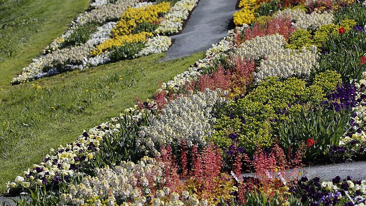 Blütenpracht bei der Landesgartenschau in Bayreuth 2016. Foto: Matthias Hoch