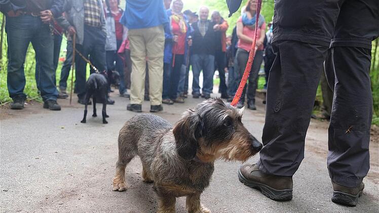 Grenzgang um Aura Foto: Gerd Schaar