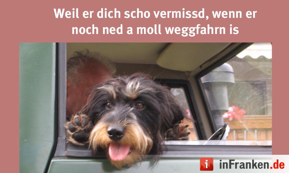 Foto: M Seidl