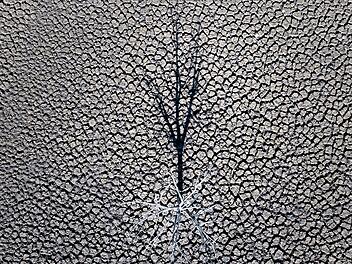 EU setzt sich neues Ziel f&uuml;r den Klimaschutz