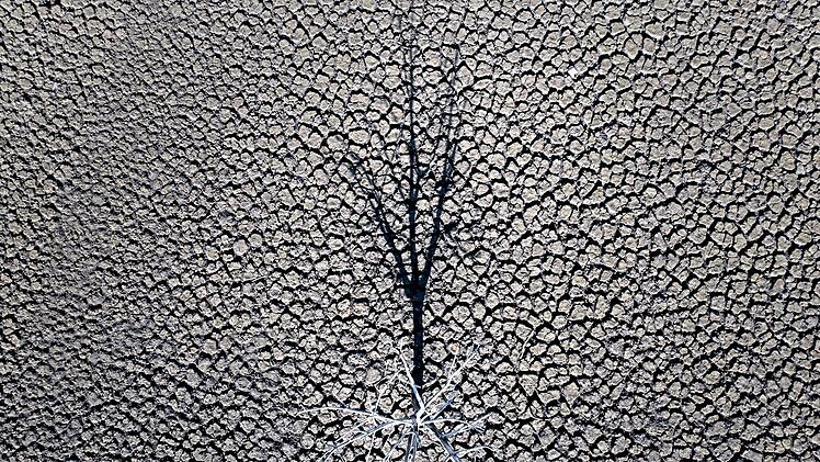 EU setzt sich neues Ziel f&uuml;r den Klimaschutz