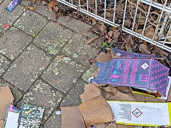 Reste von Silvester, vom Eis befreit.