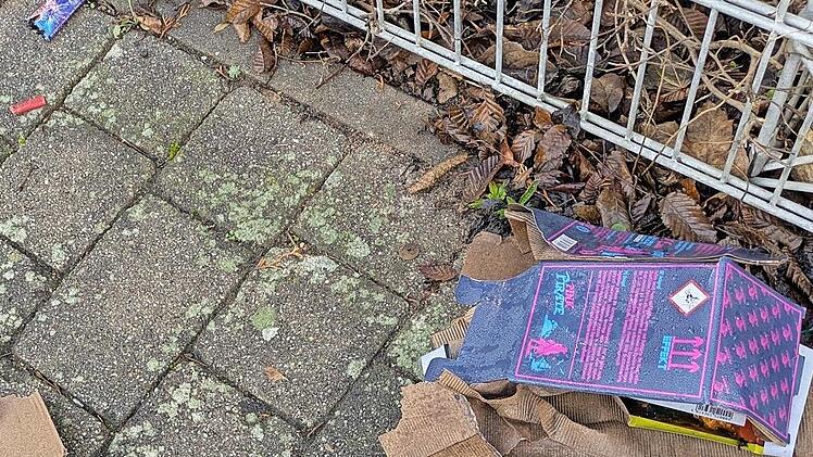 Reste von Silvester, vom Eis befreit.