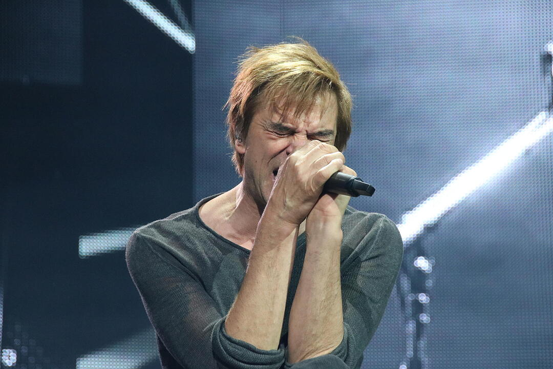 Die Toten Hosen bei Rock im Park 2017