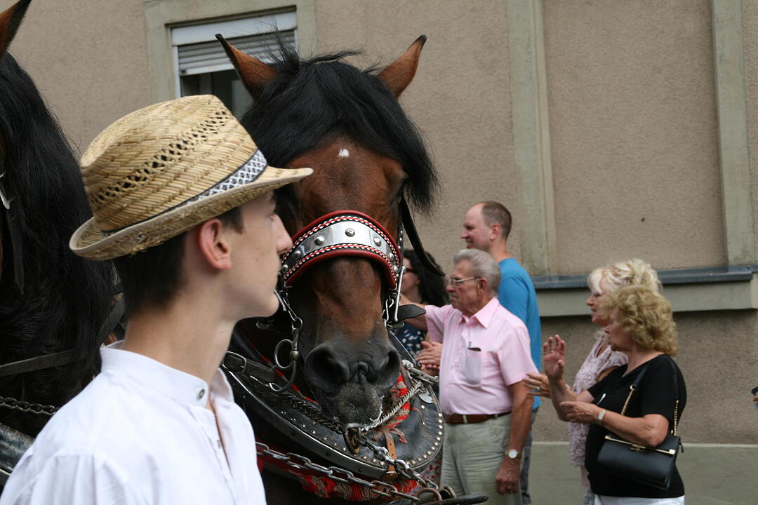 Rakoczy-Fest 2017