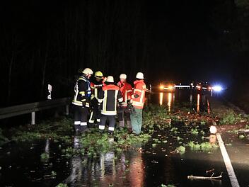 Einen umgest&uuml;rzten Baum musste die Feuerwehr am fr&uuml;hen Morgen auf der Stra&szlig;e zwischen Zettlitz und Wartenfels beseitigen. Zwei Autos wurden dabei schwer besch&auml;digt.Symbolbild News5/Ferdinand Merzbach