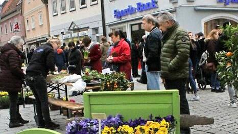 Hübsch bepflanztes Bett - Blumen-Mahler sorgte für diesen Hingucker.