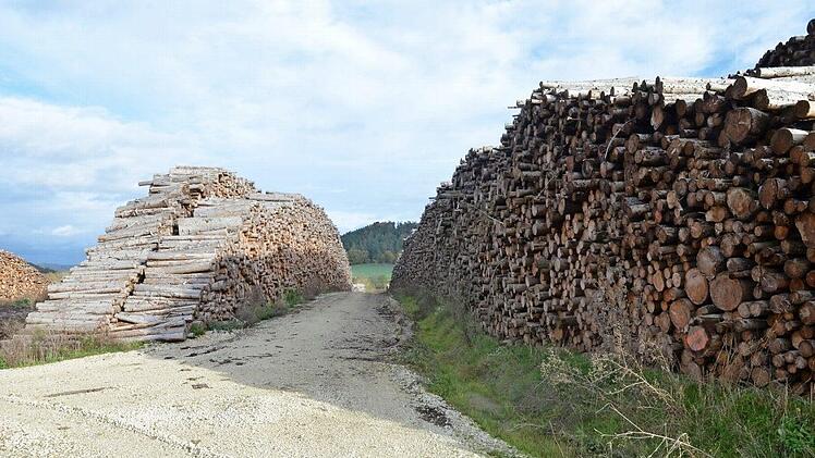Von den großen Lagerplätzen wird Holz an den Handel abgegeben - es kommen aber auch ständig neue Stämme aus den Wäldern dazu, und das wird noch eine Weile anhalten, denn noch stehen viele vom Käfer geschädigte Bäume im Wald. Foto: Rainer Lutz