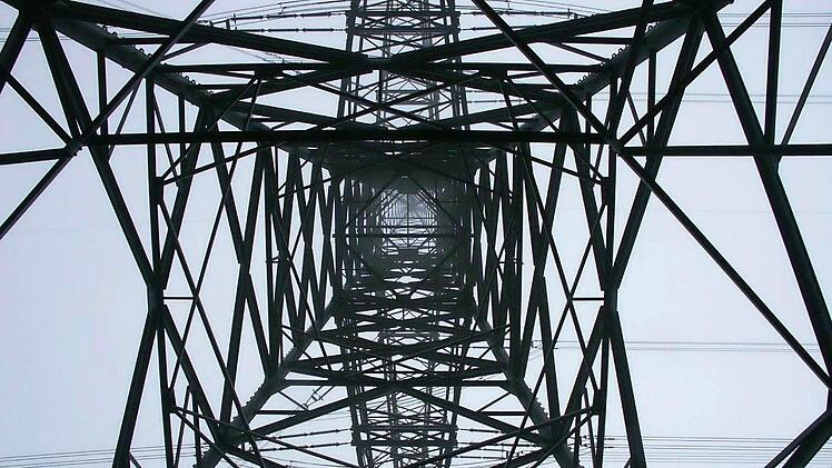 Bis an die 80 Meter hoch werden die höchsten Masten der Trasse in der Rödentaler Flur aufragen. Foto: CT-Archiv / Berthold Köhler