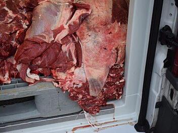 Nichts f&uuml;r schwache Nerven: Die Polizei entdeckte den Haufen Fleisch unverpackt auf der Ladefl&auml;che. Foto: Polizeiinspektion Hildesheim