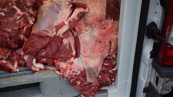 Nichts f&uuml;r schwache Nerven: Die Polizei entdeckte den Haufen Fleisch unverpackt auf der Ladefl&auml;che. Foto: Polizeiinspektion Hildesheim