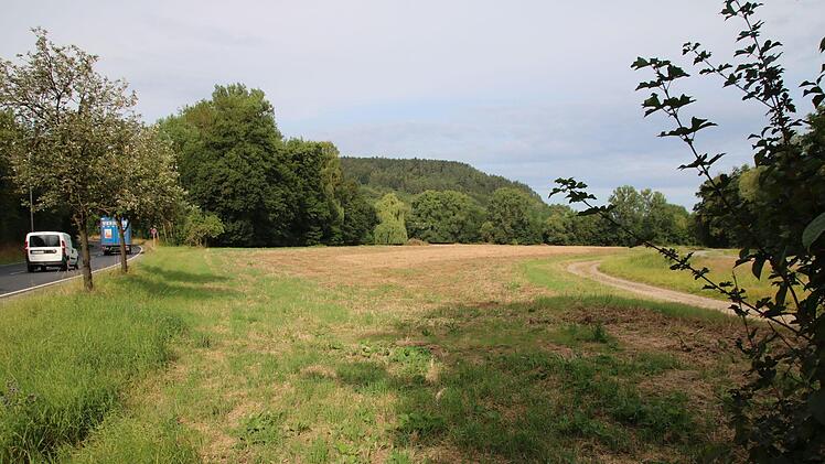 Direkt neben der Entlastungsstraße wird auf der äußeren Lache das Feuerwehrgerätehaus entstehen. Mehr aber nicht. Die ursprünglich geplanten Parkplätze und Sondergebiet für Einzelhandel sind vom Tisch. Foto: Thomas Malz