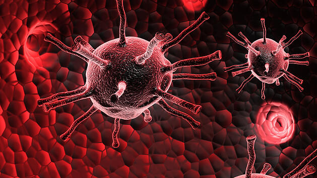 Krebs, Leukämie, Stammzellenspende, DKMS