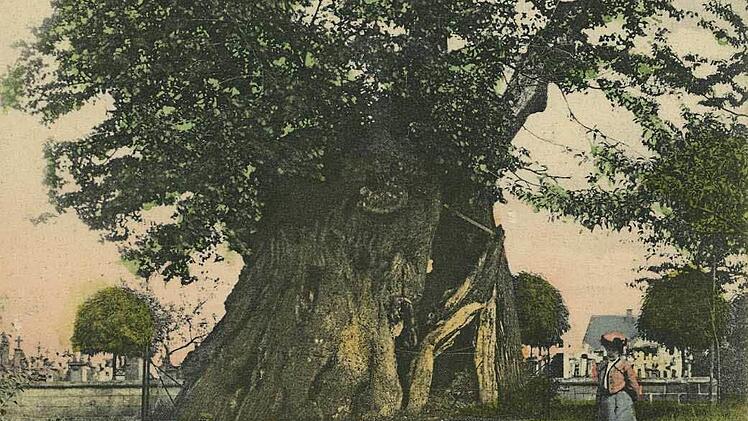 Michael Bäumler und Hermann Hacker widmen der Flora und Fauna einen Beitrag. Foto: KIS