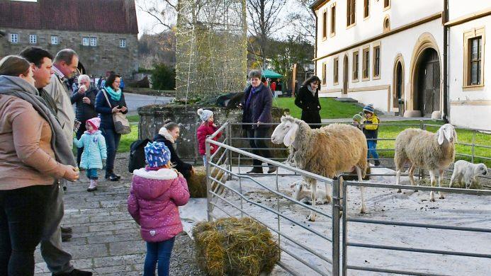 Die Schafe vor dem Abteigebäude waren vor allem für die Kleinsten das Interessanteste beim Bildhäuser Weihnachtsmarkt. Foto: Friedrich