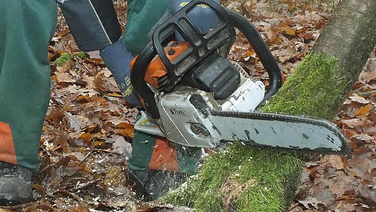 Bei Holzeinschlägen im Bad Bockleter Gemeindewald soll die touristische Bedeutung des Forsts bedacht werden.  Symbolfoto: Björn Hein