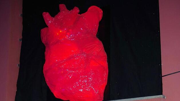 Lichtpunkt 19: "Die Herzen Kronachs" (Rathausg&auml;sschen): Idee,Umsetzung, K&uuml;nstler: Maya Berk, Melissa Yilmaz, Lichtpate: RauhBlechwarenfabrikation K&uuml;ps Heike Sch&uuml;lein