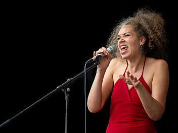 Eine S&auml;ngerin in einem roten Kleid performt leidenschaftlich auf der B&uuml;hne beim Blues- und Jazzfestival in Bamberg und &uuml;berzeugt das Publikum.