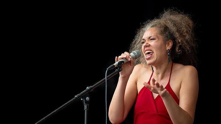 Eine S&auml;ngerin in einem roten Kleid performt leidenschaftlich auf der B&uuml;hne beim Blues- und Jazzfestival in Bamberg und &uuml;berzeugt das Publikum.