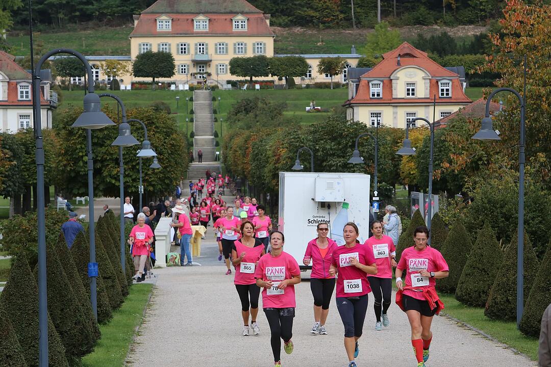 Pinklauf 2015