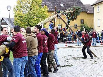 Auch der kleinere Baum bereitete den Kerwasburschen einige Mühe.  Foto: Mathias Erlwein