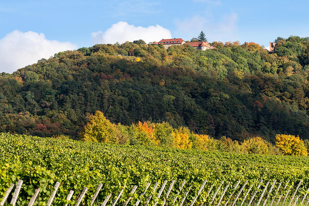 Fotos Konrad Thomann