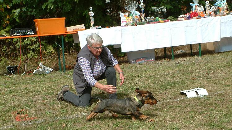 Rosi setzt zum Sprint an.Hans Franz
