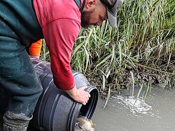 abfischenfotodianafuchs (4)