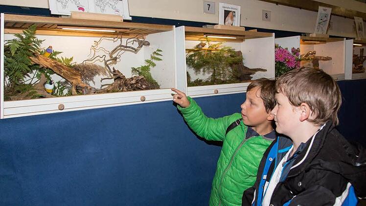 Auf Interesse stieß die Jubiläumsausstellung bei Joel Scala und Lucca Kestel (vorn).  Foto: Klaus Gagel