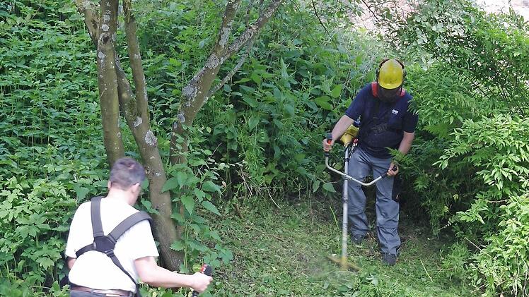 Auch den Hang hinter der Hütte befreien Alfons Hohmann und Martin Dehler von Unkraut und Gestrüpp.