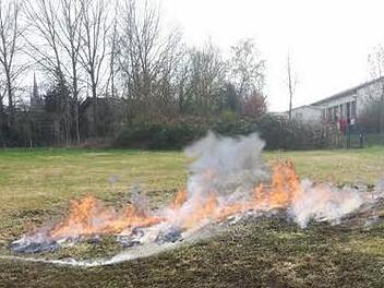 Am 31. März brandete es auf einer Wiese in der Lichtenfelser Mainau, hinter einem Drogeriemarkt. Laut Polizei waren Feuerwerkskörper die Ursache. Foto: Feuerwehr Lichtenfels