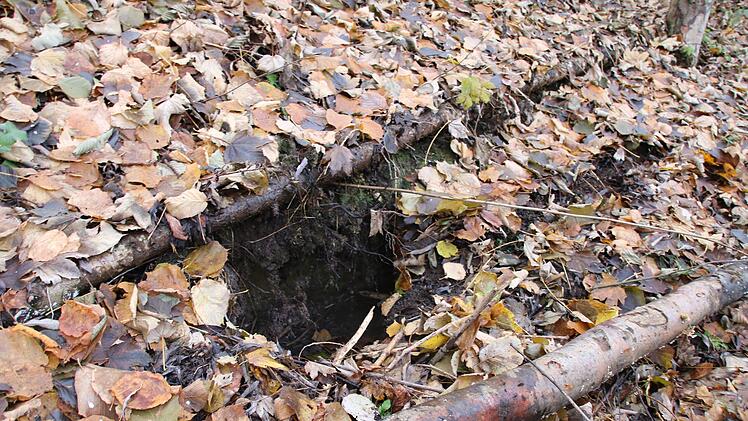 Bilder von der Teichanlage des ASV Hammelburg oberhalb von Obereschenbach. Foto: Ralf Ruppert