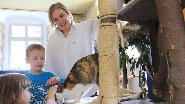 Vor allem ihre Kinder Franz (5) und Frieda (2) haben viel Spaß im Katzenhotel von Barbara Kuhnlein in Gnellenroth. Ihre Gäste kommen aus ganz Oberfranken, sagt sie. Foto: Dominic Buckreus