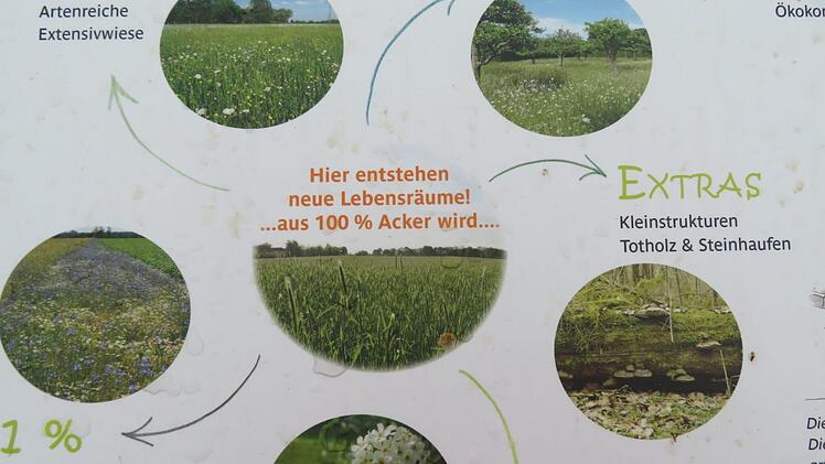 Neue Lebensräume  entstehen: Wie funktioniert das?Monika Schütz