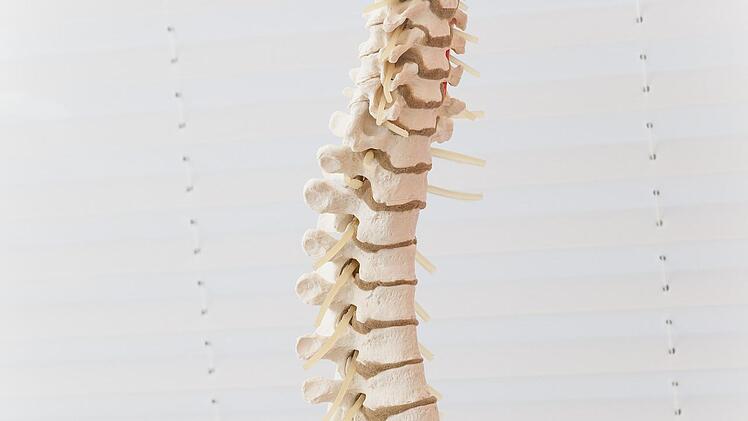 Für unsere s-förmig gekrümmte Wirbelsäule ist die Rückenlage die beste Schlafposition.