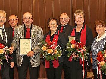 Ehrungen beim Gesangverein Großheirath-Buchenrod, im Bild von links Heidemarie Buff, Günter Freitag als Vorsitzender der Fränkischen Sängergruppe, Gerold Hümmer als Vereinsvorsitzender, Horst Angermüller, Friedlinde Dinkel, Chorleiter Thomas Günther, Ute Heyn, Gruppenvorsitzende Edeltraud Obermüller und Karin Brehm  Foto: Michael Stelzner