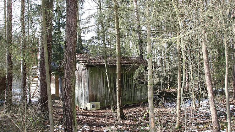In dieser Hütte und auf dem Freigelände, das zum Tierheim Kulmbach gehört, leben seit Jahren drei verwilderte Katzen.