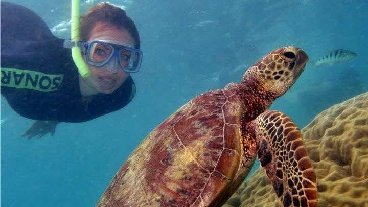 Am Barrier Reef tauchte Maria in eine faszinierende Unterwasserwelt ein.