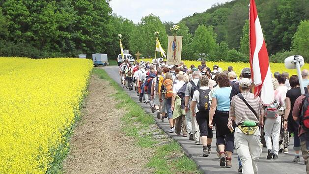 Durch Rapsfelder auf dem Weg nach Vierzehnheiligen: N&uuml;dlinger Wallfahrer Foto: Archiv/Arthur Stollberger