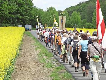Durch Rapsfelder auf dem Weg nach Vierzehnheiligen: Nüdlinger Wallfahrer Foto: Archiv/Arthur Stollberger
