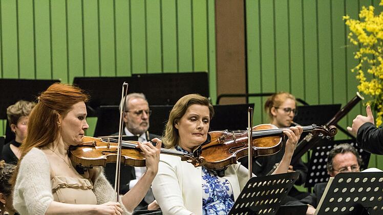 Impressionen vom Sinfoniekonzert mit dem Orchester der Gesellschaft der Musikfreunde Neustadt in der Mehrzweckhalle Heubischer StraßeFoto: Jochen Berger