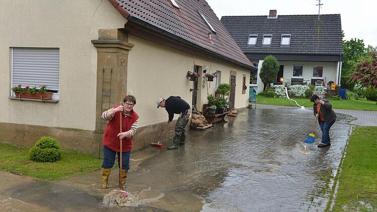 Wiesengiech. Foto: Ronald Rinklef