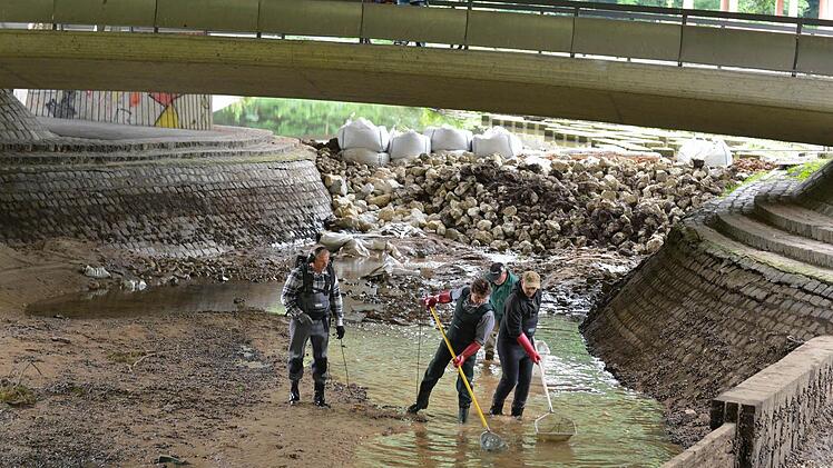 18 Fischarten landeten beim Ausfischen in den Keschern.  Der Schlamm in den Wasserbecken verursachte zuletzt hohe Unterhaltskosten.  Foto: Ronald Rinklef