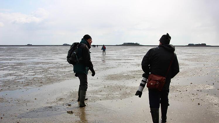 Hallig-Impressionen. Diana Fuchs