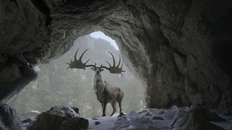 Animationen zeigen imposante Tiere wie diesen riesigen Hirsch.