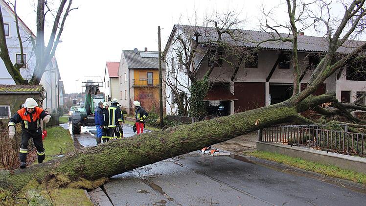 An der Ortsdurchfahrt wurde ein mächtiger Baum entwurzelt.  Evi Seeger